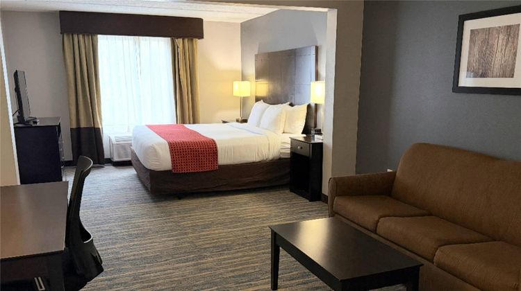 Comfort Inn and Suites Tampa North Suite