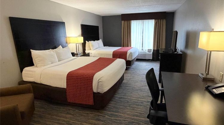 Comfort Inn and Suites Tampa North Room