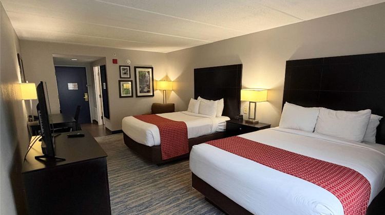 Comfort Inn and Suites Tampa North Room