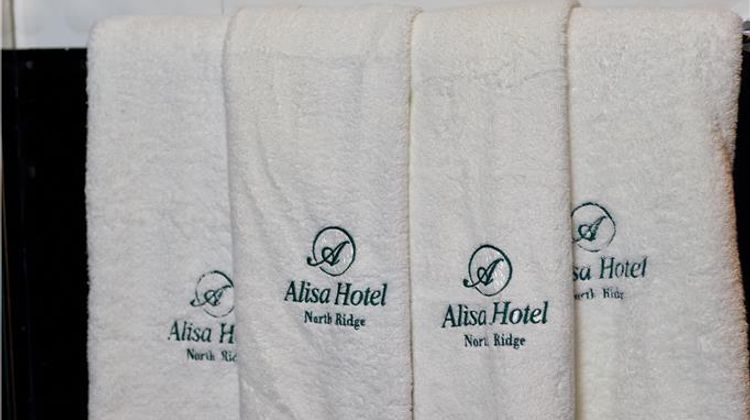 Alisa Hotel North Ridge Other