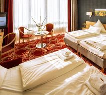 Hotel Loewengarten Room
