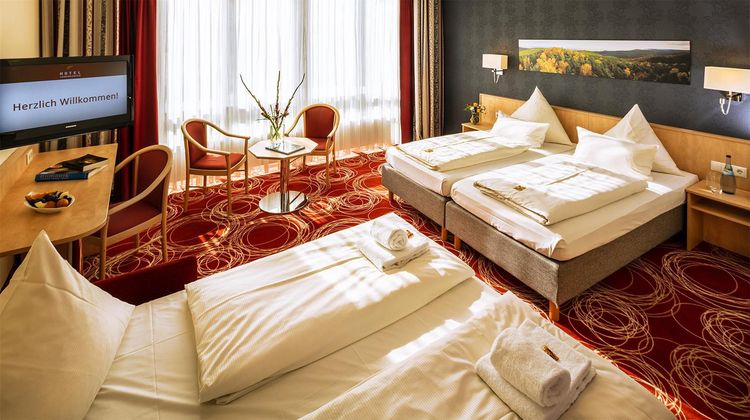 Hotel Loewengarten Room