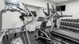 <b>Microtel Inn & Suites Ft. Worth North Health</b>. Images powered by <a href="https://iceportal.shijigroup.com/" title="IcePortal" target="_blank">IcePortal</a>.