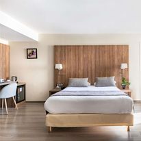 Ibis Styles Lyon Sud Brignais
