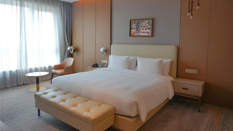 <b>Ethiopian Skylight Hotel Suite</b>. Images powered by <a href="https://iceportal.shijigroup.com/" title="IcePortal" target="_blank">IcePortal</a>.
