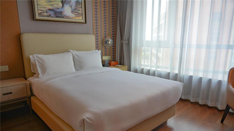 <b>Ethiopian Skylight Hotel Suite</b>. Images powered by <a href="https://iceportal.shijigroup.com/" title="IcePortal" target="_blank">IcePortal</a>.