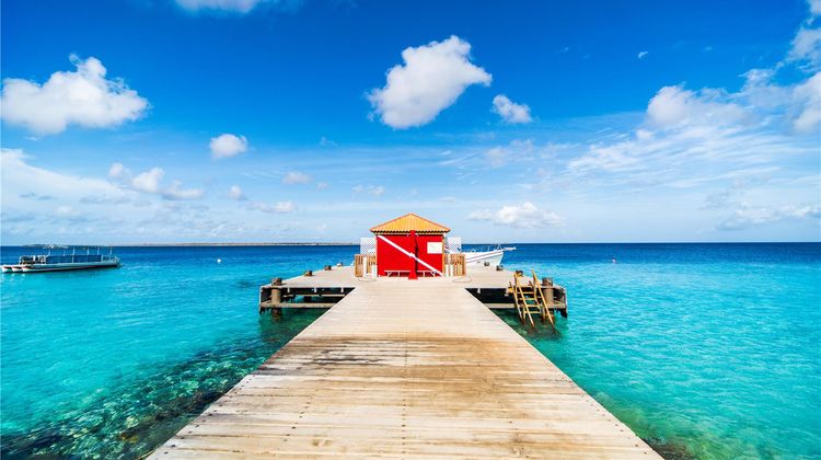 Captain Don's Habitat Bonaire Other