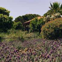 Hotel Velamar