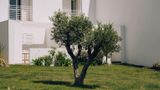 <b>Hotel Velamar Exterior</b>. Images powered by <a href="https://iceportal.shijigroup.com/" title="IcePortal" target="_blank">IcePortal</a>.