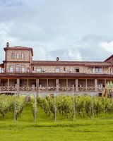 Schuchmann Wines Chateau Villas and Spa