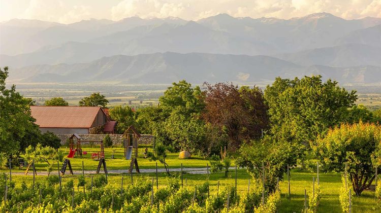 Schuchmann Wines Chateau Villas and Spa Exterior
