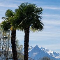 Hotel Saint Georges Lourdes