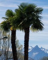 Hotel Saint Georges Lourdes