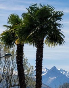 Hotel Saint Georges Lourdes
