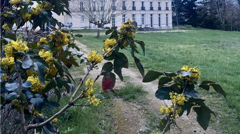 <b>Chateau Royal de Benays Exterior</b>. Images powered by <a href="https://iceportal.shijigroup.com/" title="IcePortal" target="_blank">IcePortal</a>.