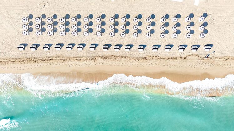 Signia by Hilton Diplomat Beach Resort Beach