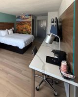 Super 8 Springfield/Battlefield
