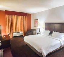 Country Inn & Suites Terrell Room