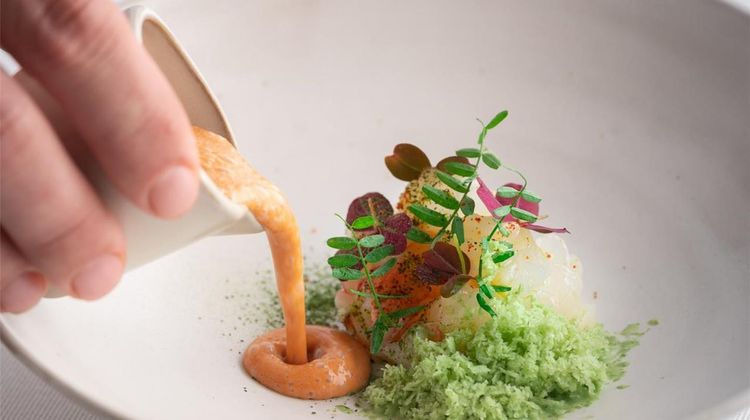 Ostape Auberge Other