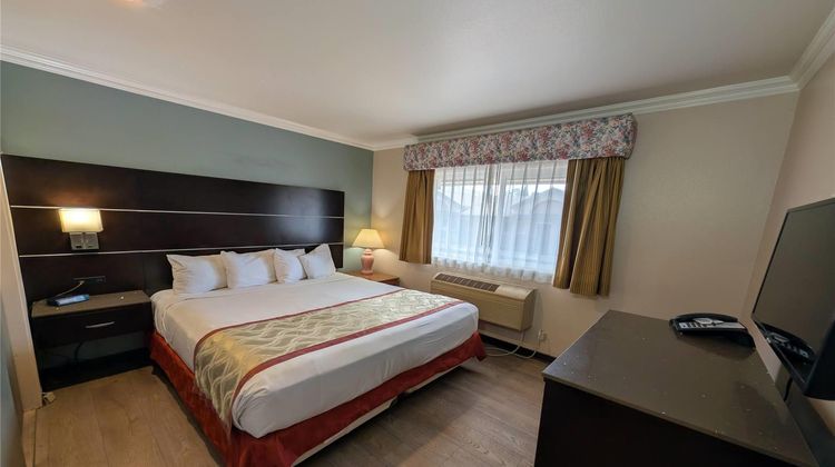 Olive Tree Inn & Suites San Luis Obispo Room