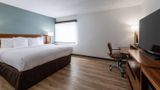 Comfort Inn Dedham Boston MetroWest Room