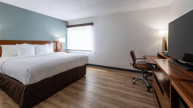 Comfort Inn Dedham Boston MetroWest Room