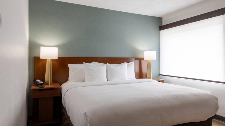 Comfort Inn Dedham Boston MetroWest Room