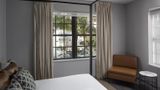Generator Miami Suite