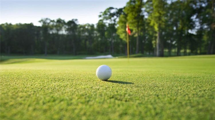 Hotel Heidegrund Golf