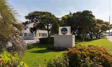 Palm Suites