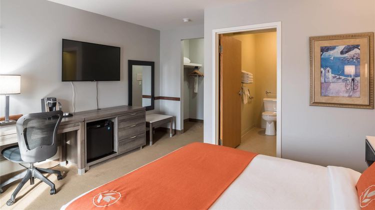 Amsterdam Inn & Suites Room