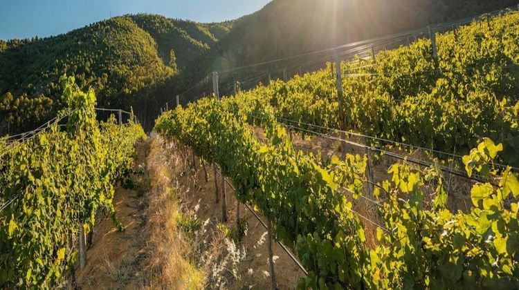 Lanzerac Wine Estate Hotel & Spa Other