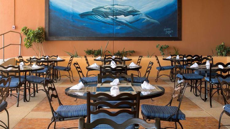 Club Regina Los Cabos Other