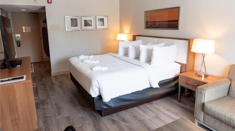Iris Hotel Cape Cod Room