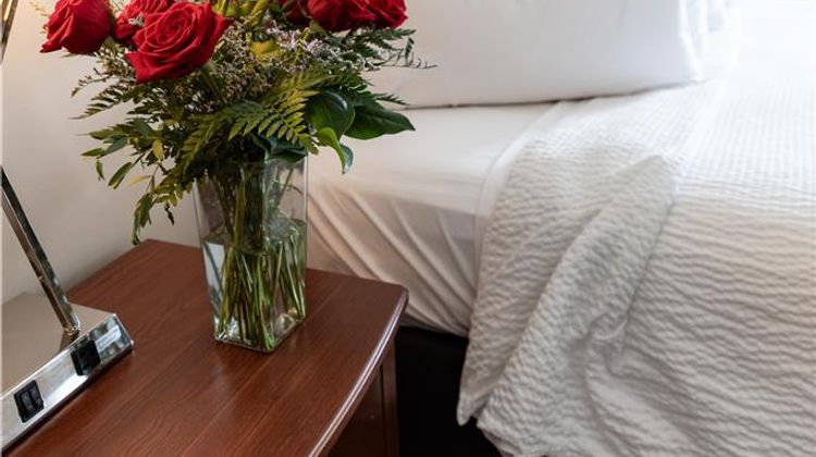 Iris Hotel Cape Cod Other