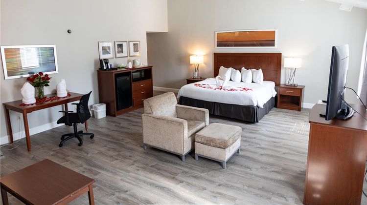 Iris Hotel Cape Cod Suite