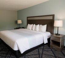 Quality Inn & Suites Room