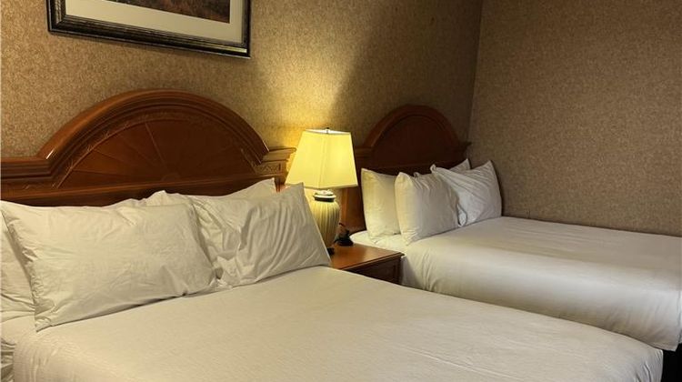 SureStay by Best Western Medicine Hat Room