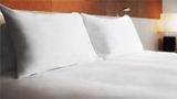 Hyatt Centric Sapporo Room