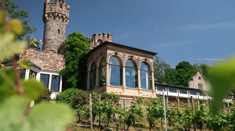 Burg Schwarzenstein Exterior