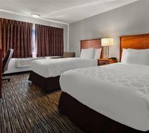 Hotel Detroit Airport Room