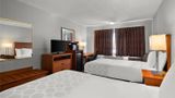 Hotel Detroit Airport Room