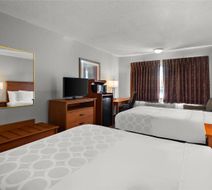 Hotel Detroit Airport Room