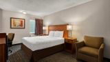 Hotel Detroit Airport Room