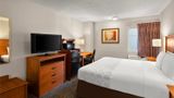 Hotel Detroit Airport Room