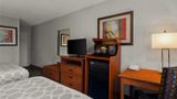 Hotel Detroit Airport Room