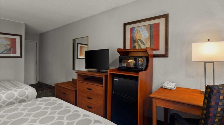 Hotel Detroit Airport Room
