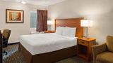 Hotel Detroit Airport Room