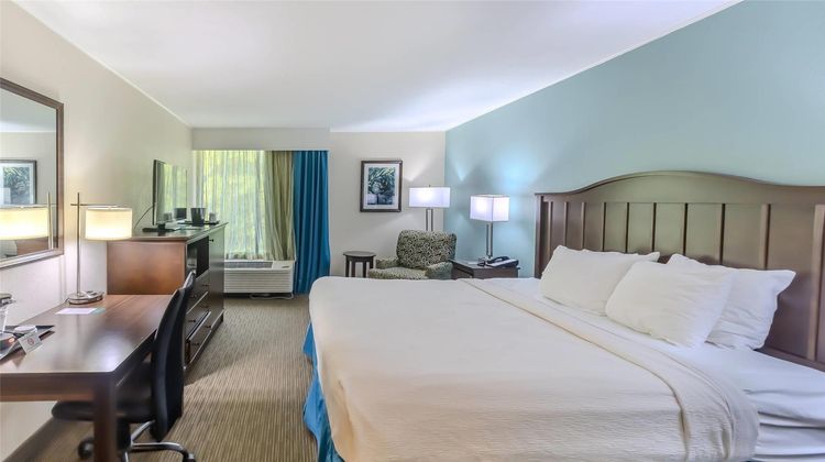 Quality Inn & Suites Room