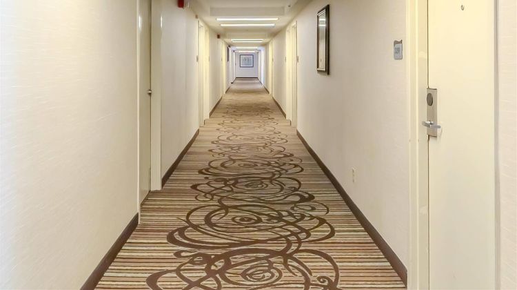 Quality Inn & Suites Other
